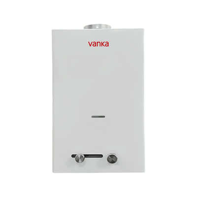 10L Capacité chauffe-eau à gaz Système de combustion équilibré Chauffage rapide