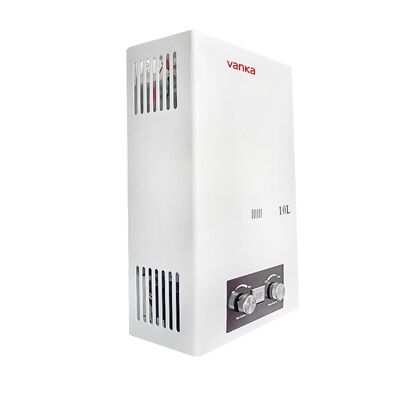 10L chauffe-eau à gaz de combustion économe en énergie Installation facile Pour la maison Hôtel Appartement et usage commercial