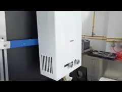 10L Capacité chauffe-eau à gaz Système de combustion équilibré Chauffage rapide